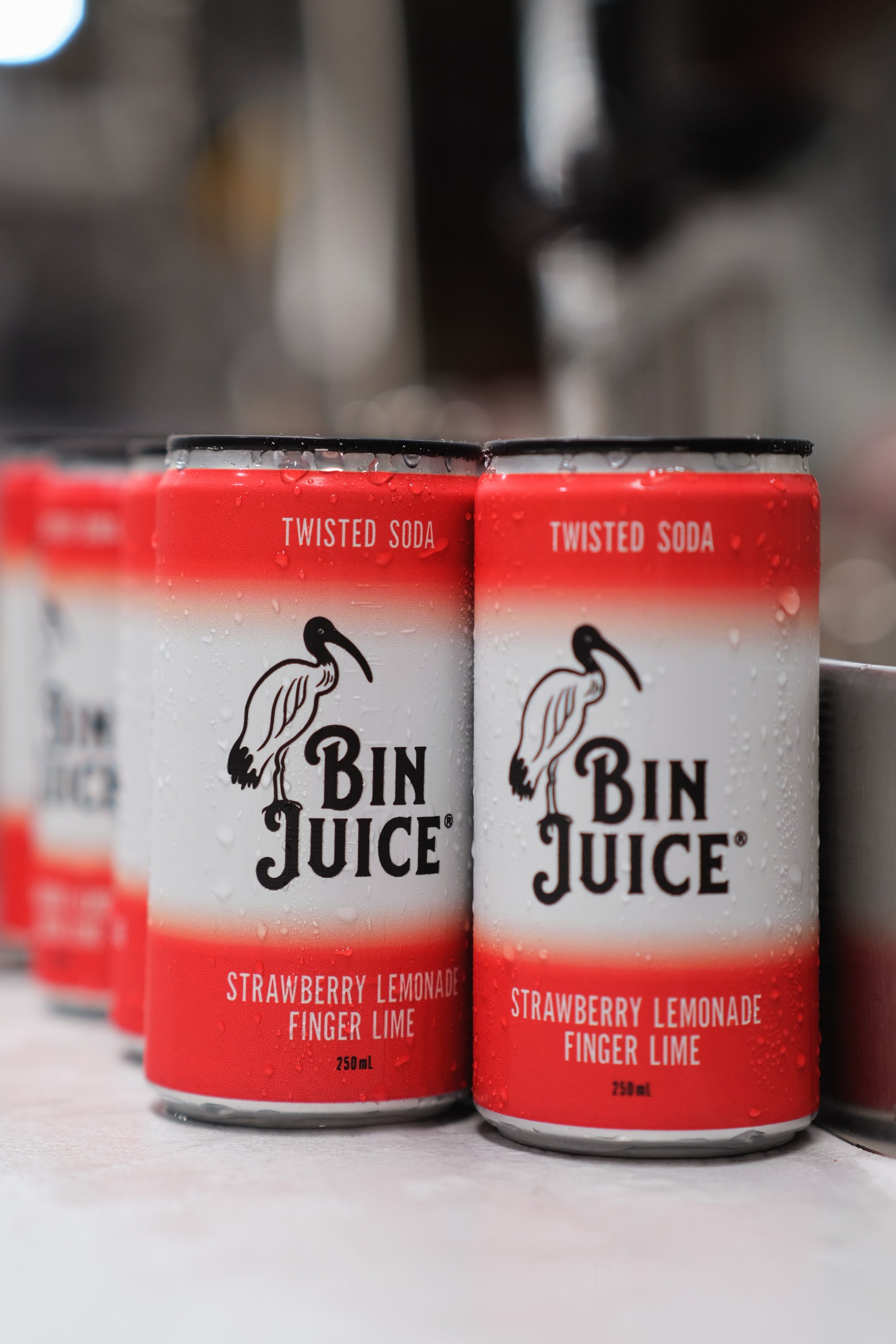 Bin Juice Never Give Up Ibis Brewing Co